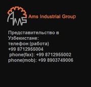  AMS Industrial Group